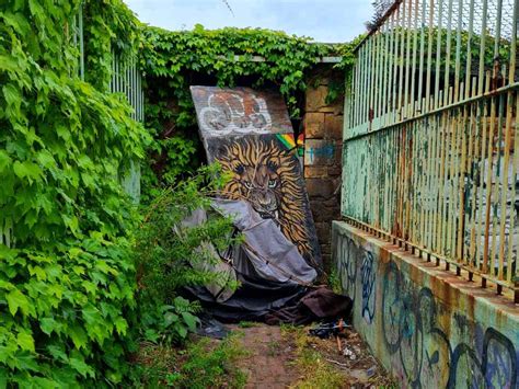 A Guide to Cape Town’s Abandoned Groote Schuur Zoo - The Sharonicles