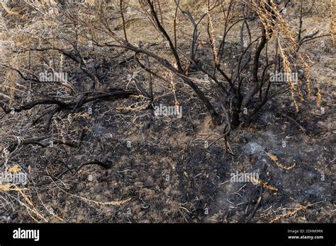 Location of a coal seam fire burning underground, ignited by a prescribed burn, in Theodore ...