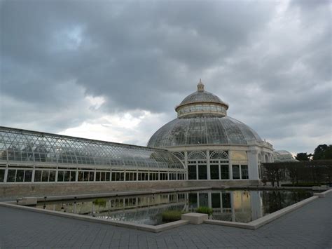 The Orchid Show at the New York Botanical Garden - FineGardening