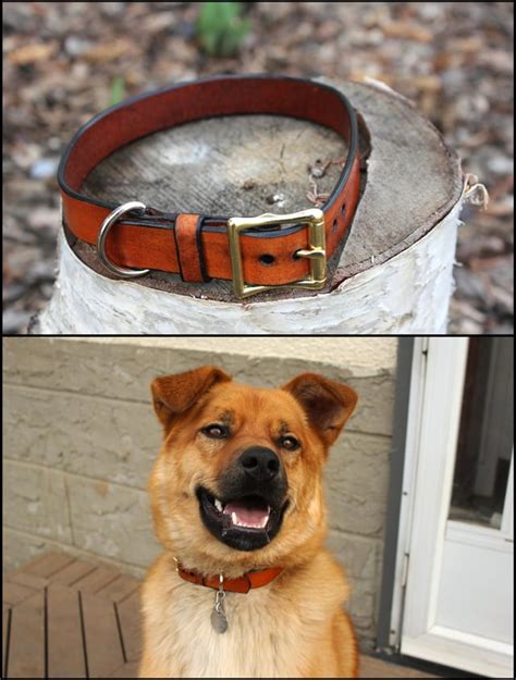 My second project - a dog collar! : Leathercraft