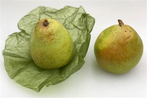 Comice Pears | Produce Geek