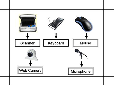 INPUT DEVICES ~ ONLINE LEARN COMPUTER