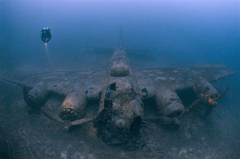 See Award-Winning Underwater Photos From Around the World | Underwater ...