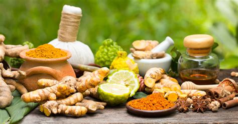 Ayurveda, The Embodiment Of Wellness | Health