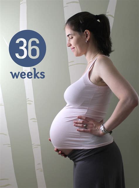 Pregnancy Update and Belly Pic- Weeks 34-36