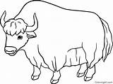 Coloring Preschool Yak Sprout Pbs Letter Projects Alphabet Activities  sketch template