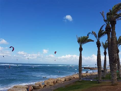 Bat Galim Beach (Haifa) - 2020 All You Need to Know BEFORE You Go (with ...