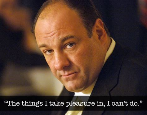 As Told By Tony Soprano (9 pics)