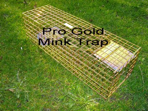 Pro gold mink trap, humane mink cage trap that's the best mink trap you can buy, guaranteed not ...