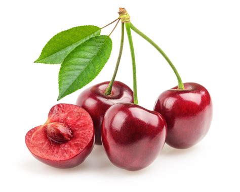 Bing Cherry Tree – Four Winds Growers