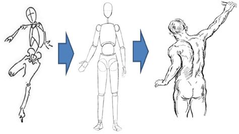 Figure Drawing Lessons 5/8 - Drawing The Manikin (Mannequin) Figure ...