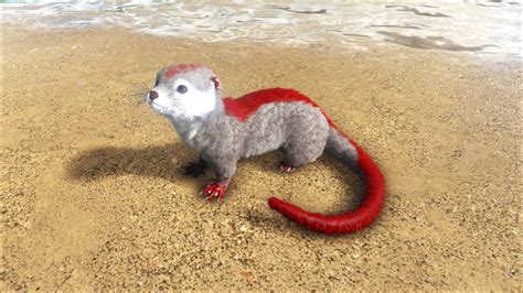 Otter - Official ARK: Survival Evolved Wiki