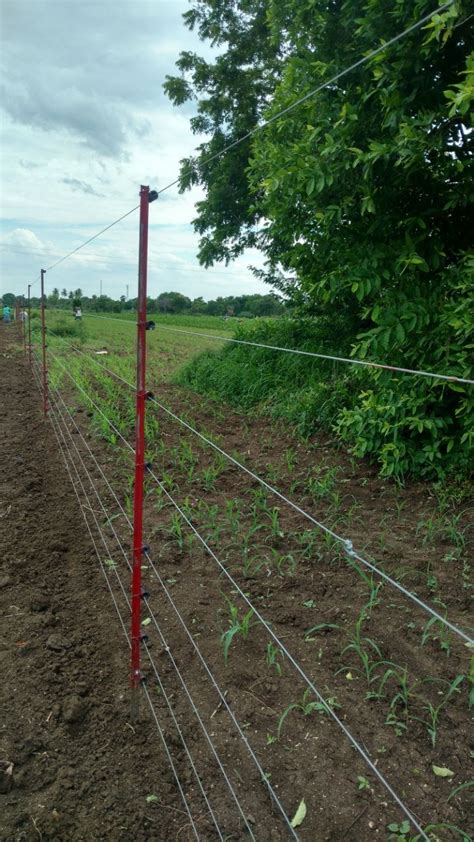 Solar Fencing System in India | Solar Fencing System in Coimbatore