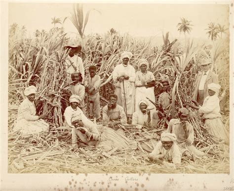 Infanticide as Slave Resistance: Evidence from Barbados, Jamaica, and ...