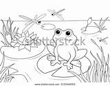 Coloring Pages Pond Over 2273 Royalty Free Licensable Stock  sketch template