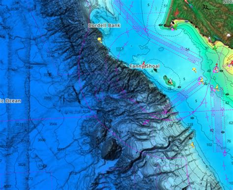 Fishfinders and Chartplotters | Simrad