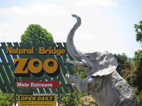 Adventures In Awesome: Natural Bridge Zoo, Natural Bridge, VA