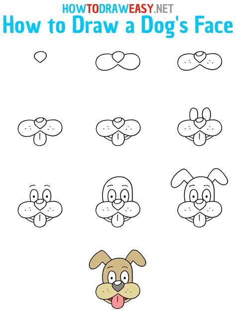 How to Draw a Dog's Face for Kids - How to Draw Easy