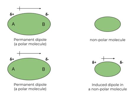 Intermolecular Forces - Definition, Types, Equations, Examples - GeeksforGeeks