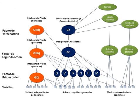 El modelo de inteligencia de Cattell: inteligencia fluida y cristalizada - La Mente es Maravillosa