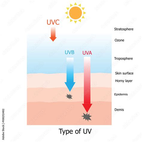 Type of UV , UVA,UVB,UVC that which one damage human skin Stock Vector | Adobe Stock