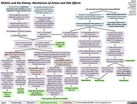 NSAIDs and the Kidney: Mechanism of Action and Side Effects | Calgary Guide