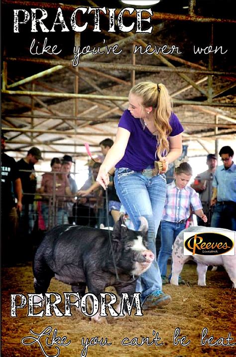 Show pig motivation and quote | Showing livestock, Pig showing, Pigs quote