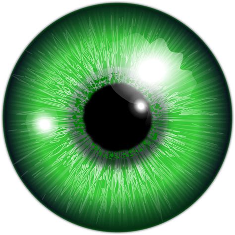 Free image on pixabay eye iris vision human sight – Artofit