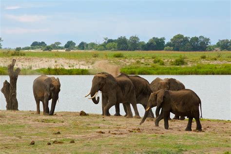 Game Drive: Chobe National Park ~ The Five Foot Traveler