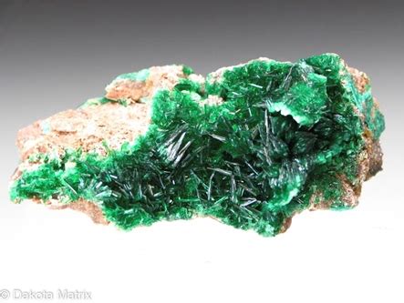 Torbernite Mineral Specimen For Sale