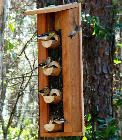 Pin by Thomycastillo on Diseño madera | Homemade bird feeders, Unique bird feeders, Bird house ...