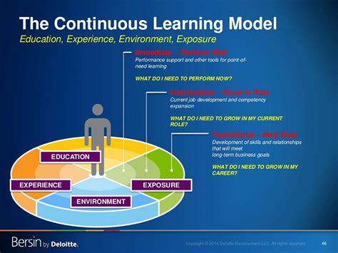 46 The Continuous Learning Model