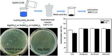 Synthesis and evaluation of the structural and antibacterial properties ...