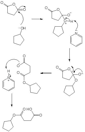 What is the product when succinic anhydride and cyclopentanol react? | Homework.Study.com