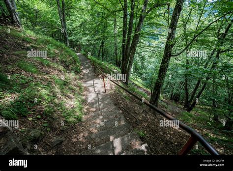 Poenari castle called poenari citadel hi-res stock photography and images - Alamy