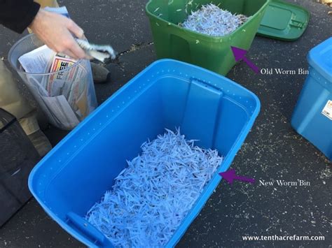 Make a Worm Bin for Composting Food Scraps - Tenth Acre Farm