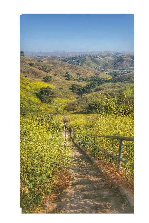 Calabasas Hiking Trail leading To Calabasas Stairs. Los Angeles trails and Outdoor experience ...