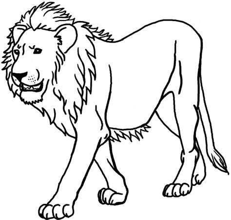 Lion Coloring Pages - GetColoringPages.com