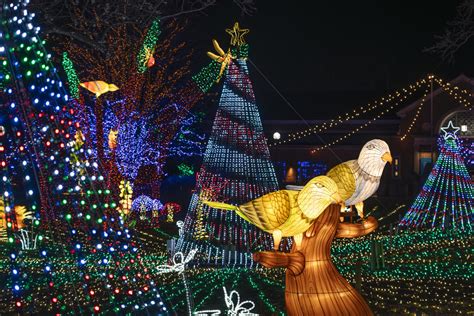 ZooLights, a Holiday Staple in Chicago, Returns to Lincoln Park Zoo for 29th Year With New ...