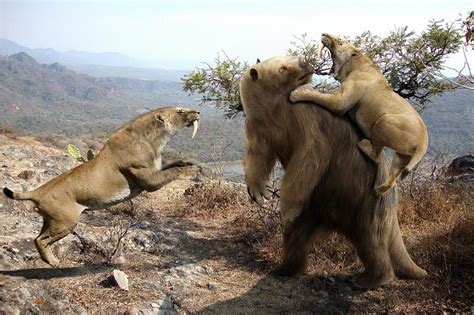 Glossotherium Photograph by Roman Uchytel/science Photo Library