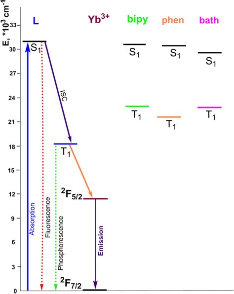 Simplified energy transfer diagram for complexes 1–3. The possible ...