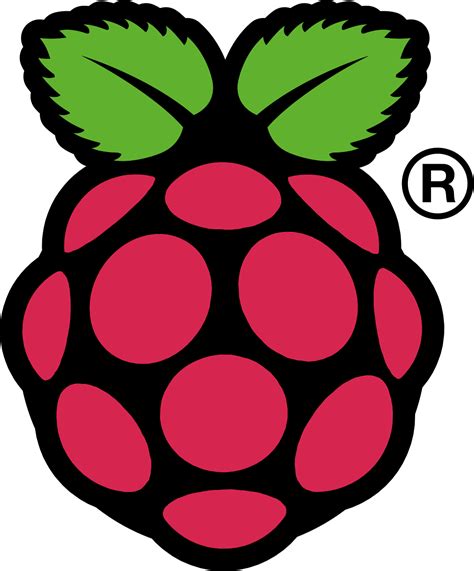 Image - Raspberry Pi.png - Logopedia, the logo and branding site