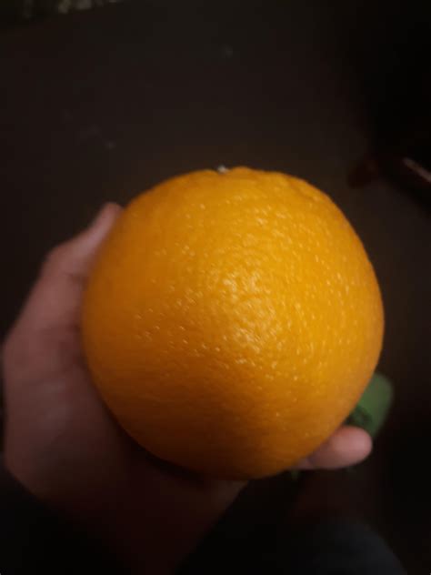 The size of this orange. : r/mildlyinteresting