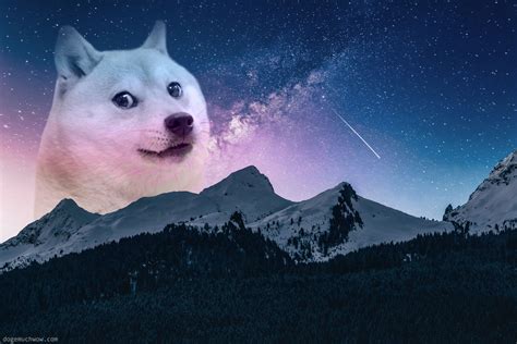 Galaxy Doge Wallpapers - Wallpaper Cave