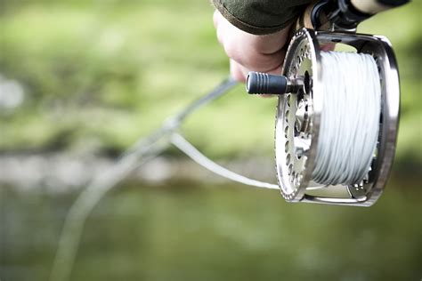 Best Fishing Line Configurations for Trout: Conventional and Fly-Fishing