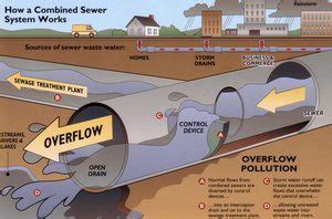 Stopping Alexandria Sewage Overflow Campaign - Potomac Riverkeeper Network