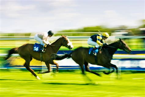 Horse racing odds explained - Sportsbet.io