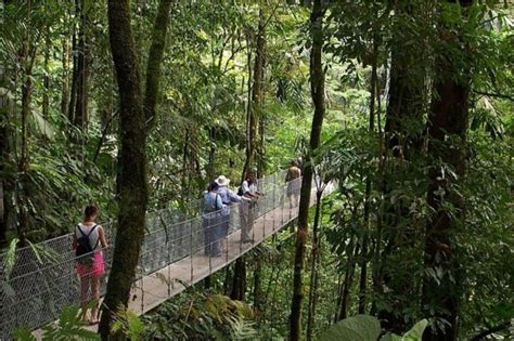 Arenal Hanging Bridges | Sights & Attractions - Project Expedition