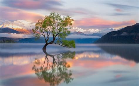 photography nature landscape trees mountains snowy peak lake wanaka reflection sunrise new ...