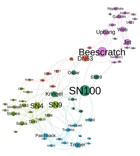 Mapping the social structure of dolphins using Gephi | Student Work